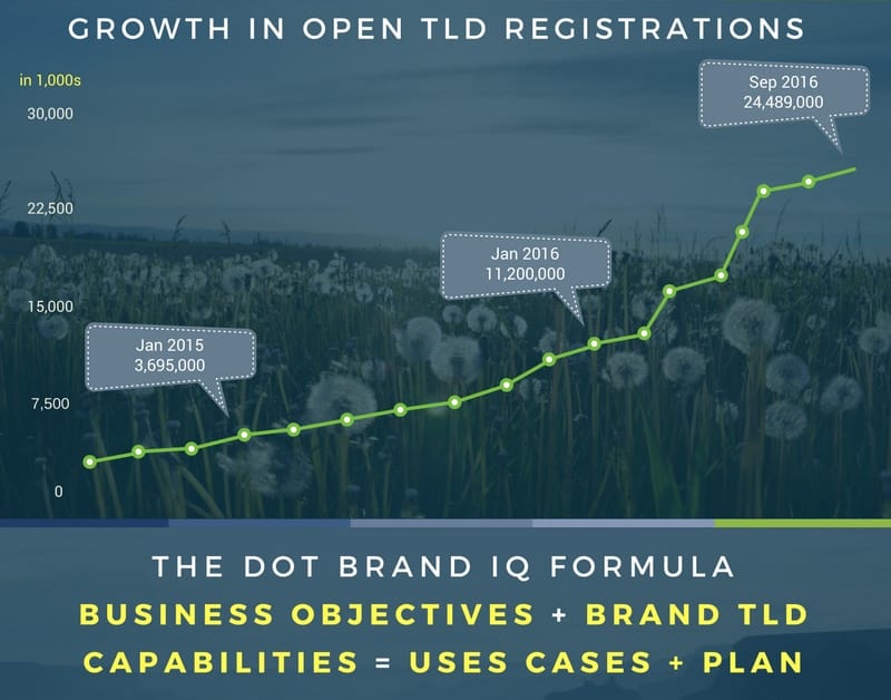 Growth in Open TLD Registrations