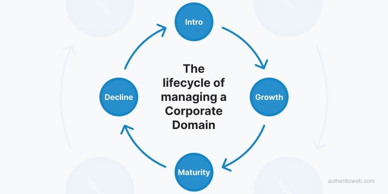 Understanding Domain Life Cycle