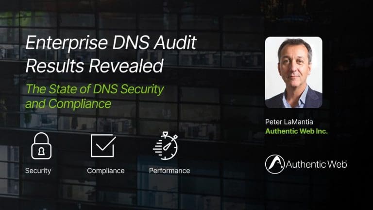 Enterprise DNS Audit Results Revealed