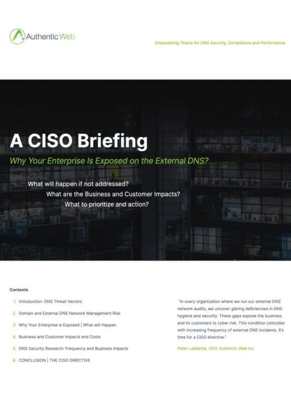 A CISO Brief: Why your Enterprise is Exposed on the DNS