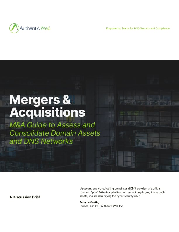 M&A Guide to Assess and Consolidate Domain Assets and DNS Networks